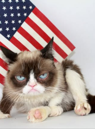 Grumpy Cat with flag
