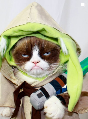 Grumpy Cat as Jedi